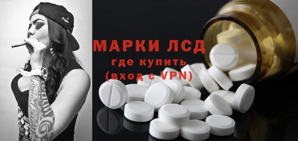 мяу мяу мука Покачи