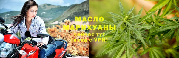 сатива Баксан